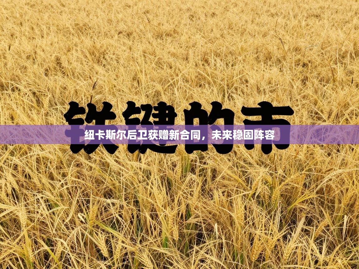 纽卡斯尔后卫获赠新合同，未来稳固阵容  第1张